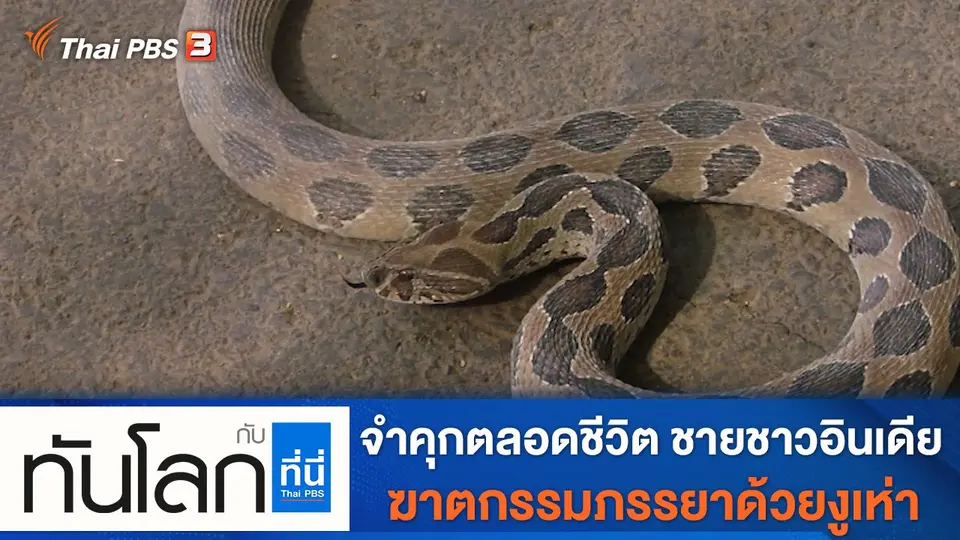 ทันโลก กับ ที่นี่ Thai PBS