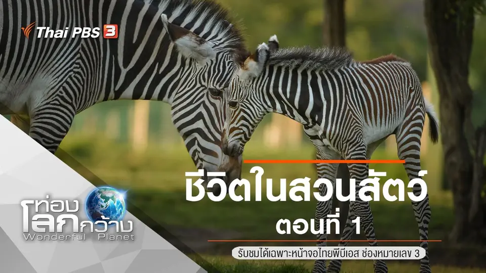 ท่องโลกกว้าง