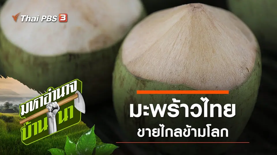 มหาอำนาจบ้านนา