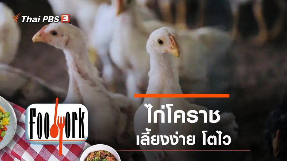 Foodwork