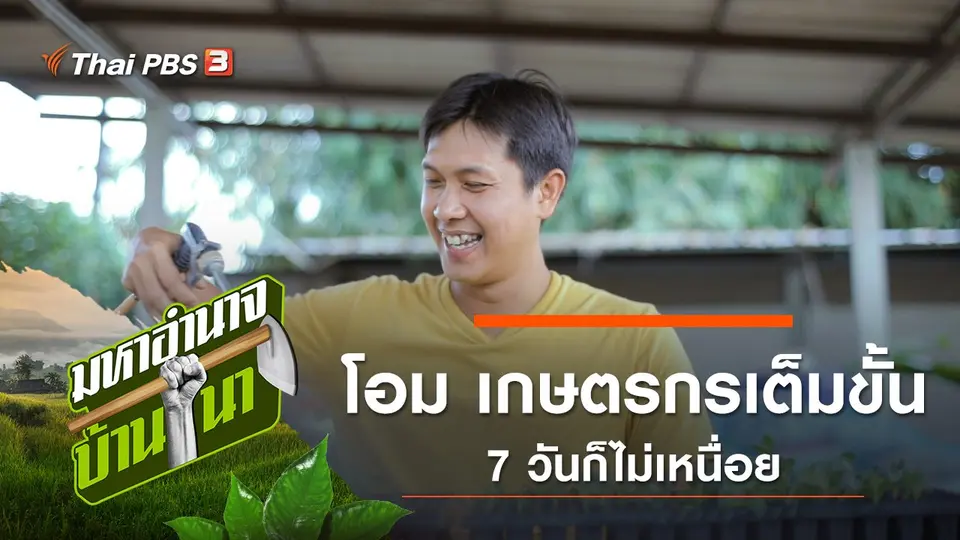 มหาอำนาจบ้านนา