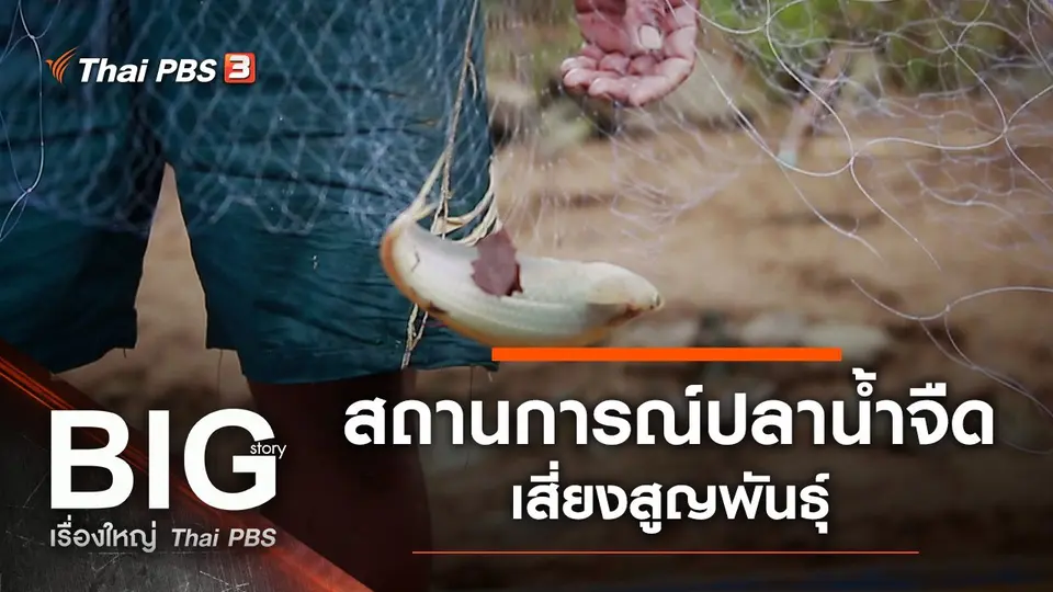 Big Story เรื่องใหญ่ Thai PBS