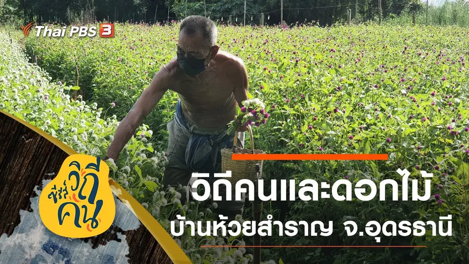 ซีรีส์วิถีคน