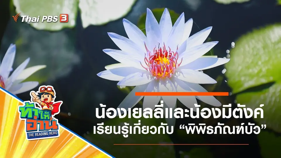 ท้าให้อ่าน The Reading Hero