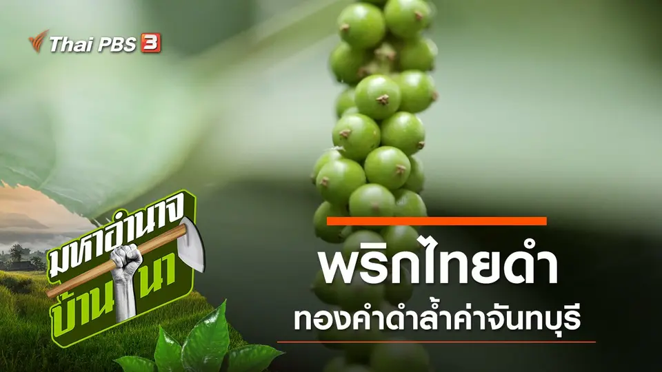 มหาอำนาจบ้านนา