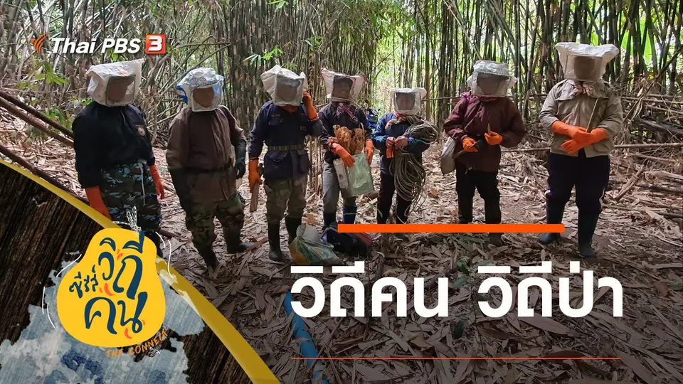 ซีรีส์วิถีคน