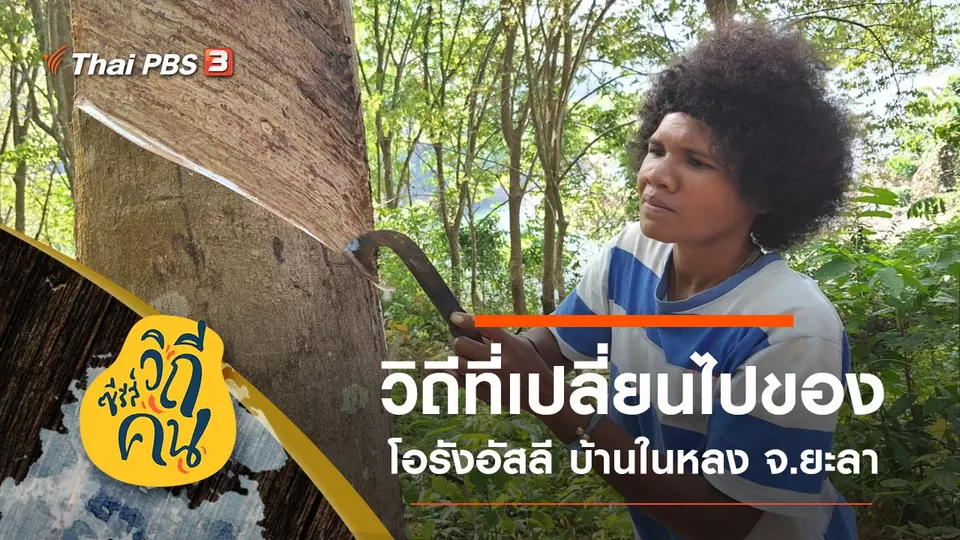 ซีรีส์วิถีคน