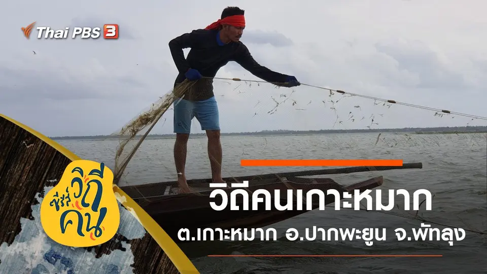ซีรีส์วิถีคน