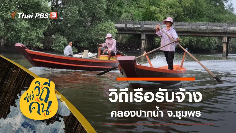 ซีรีส์วิถีคน