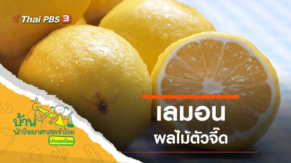 ผลไม้ตัวจี๊ด