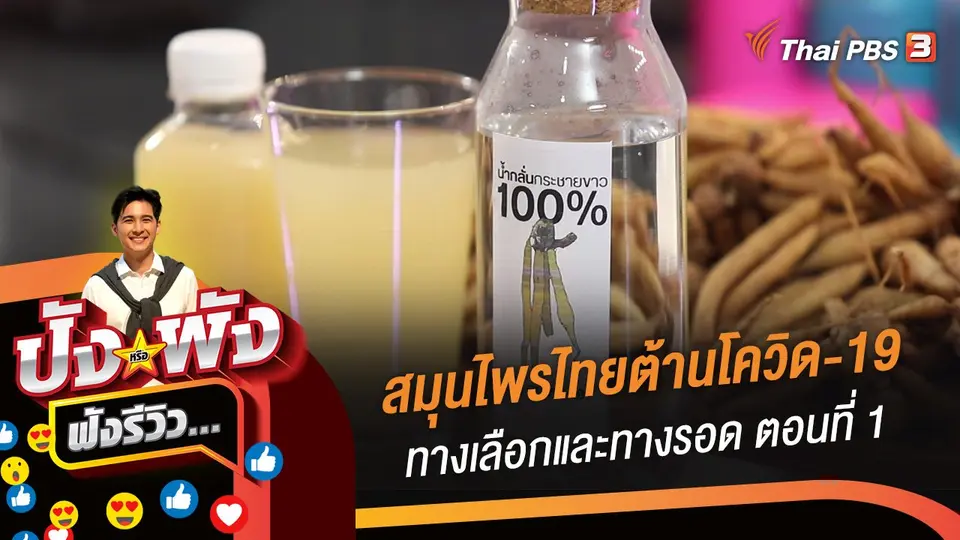 สมุนไพรไทยต้านโควิด-19 ทางเลือกและทางรอด ตอนที่ 1