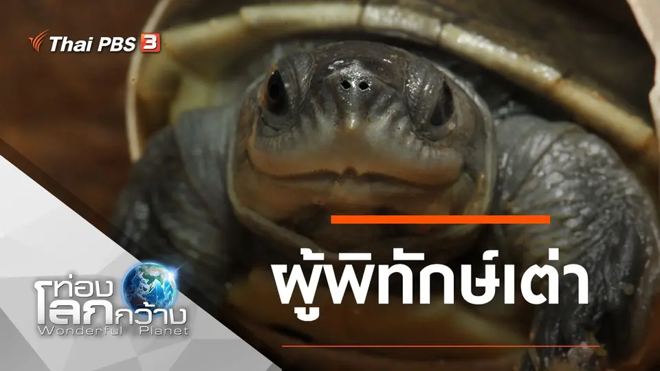 ท่องโลกกว้าง