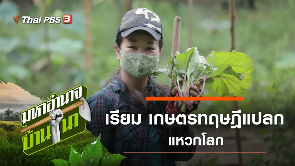 มหาอำนาจบ้านนา