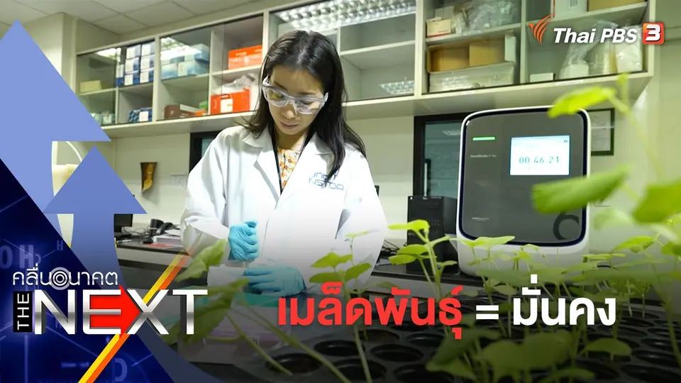 เมล็ดพันธุ์ = มั่นคง