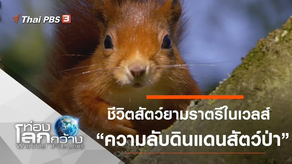 ท่องโลกกว้าง