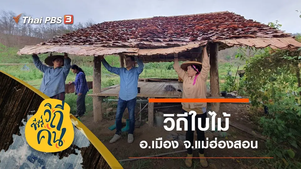 ซีรีส์วิถีคน