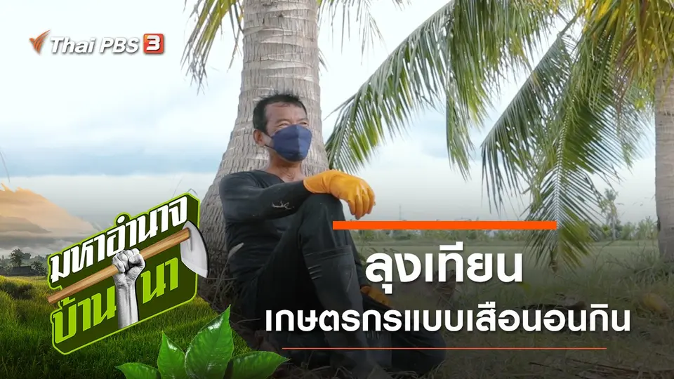 มหาอำนาจบ้านนา