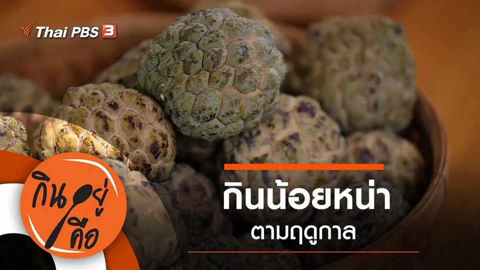 กินอยู่คือ