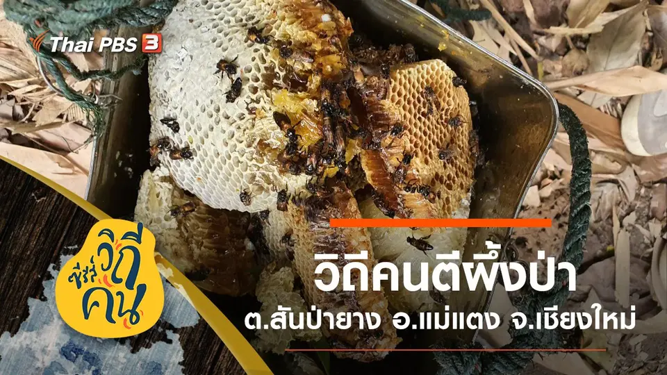 ซีรีส์วิถีคน