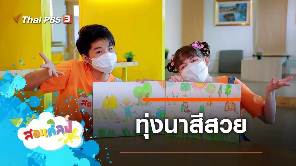 ทุ่งนาสีสวย