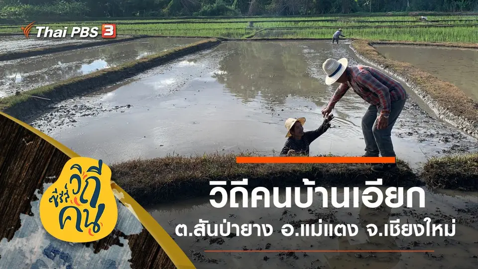ซีรีส์วิถีคน