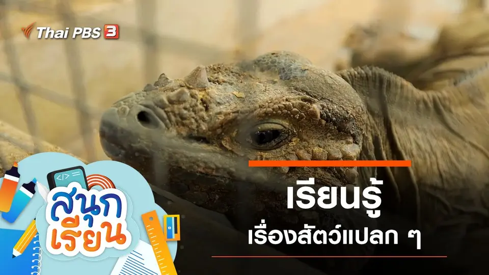 สนุกเรียน