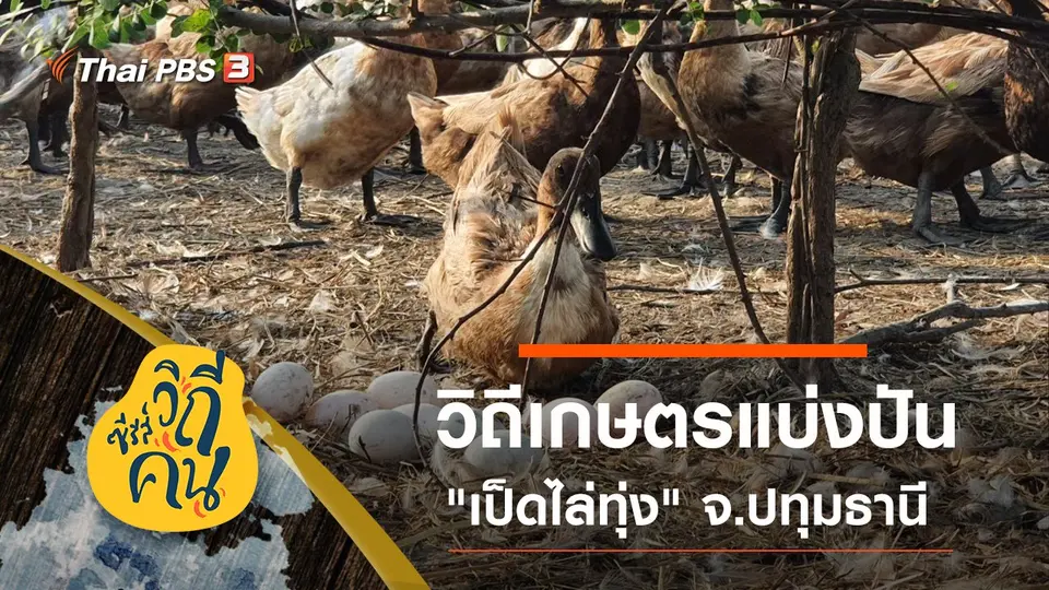 ซีรีส์วิถีคน