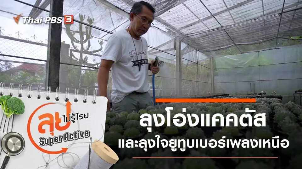 ลุยไม่รู้โรย