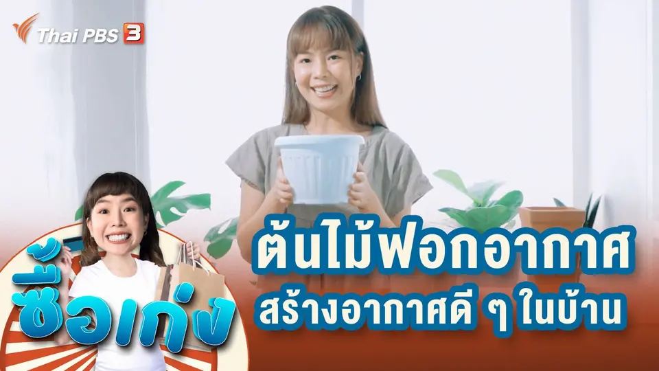 ต้นไม้ฟอกอากาศ