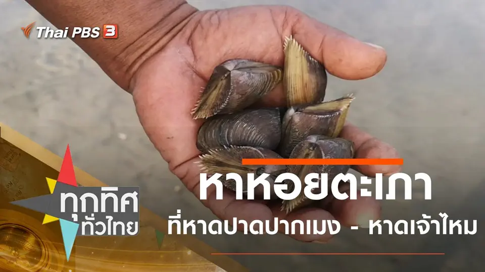 ทุกทิศทั่วไทย