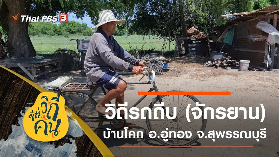 ซีรีส์วิถีคน