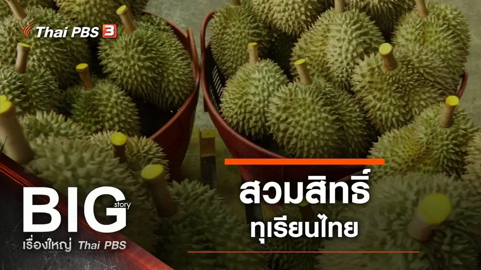 สวมสิทธิ์ทุเรียนไทย