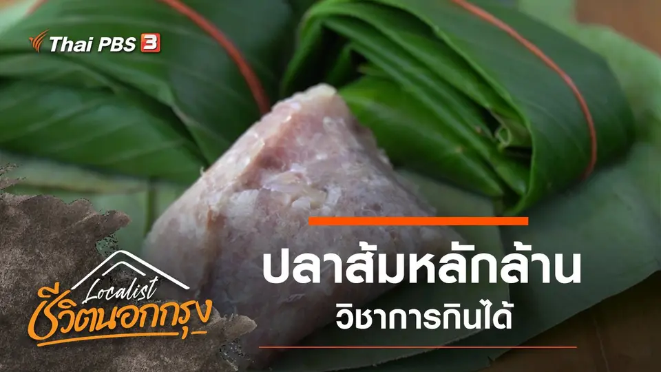 ปลาส้มหลักล้าน วิชาการกินได้