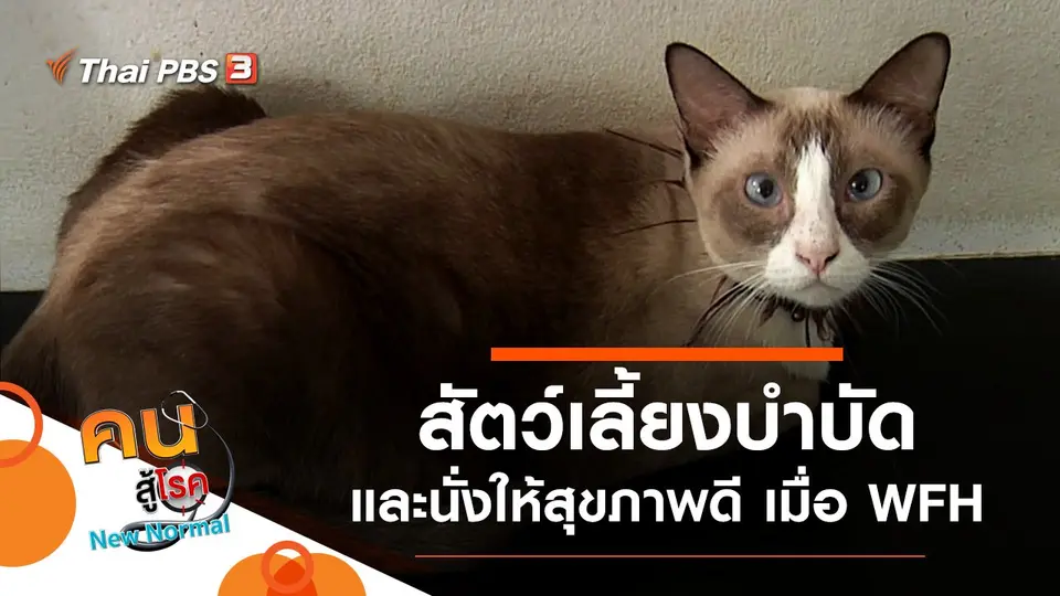 คนสู้โรค