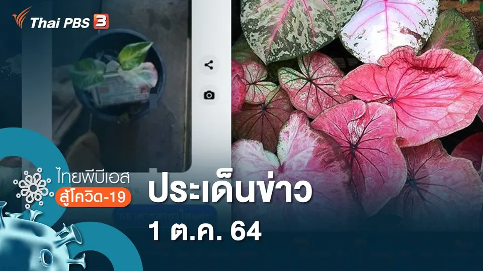 ไทยพีบีเอสสู้โควิด-19