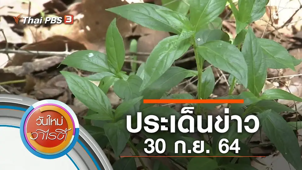วันใหม่วาไรตี้