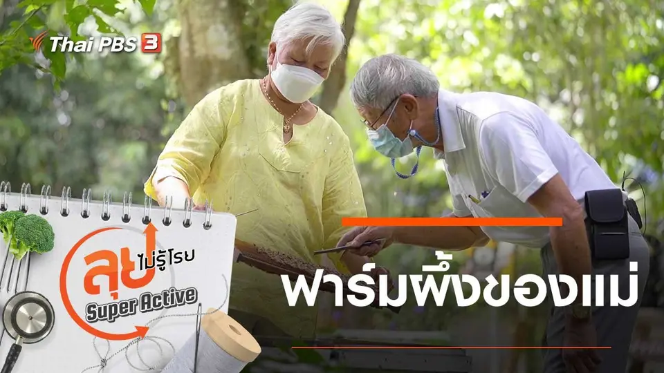 ลุยไม่รู้โรย