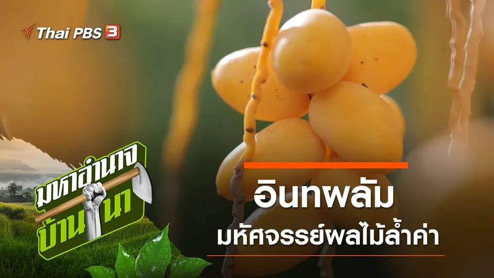 มหาอำนาจบ้านนา