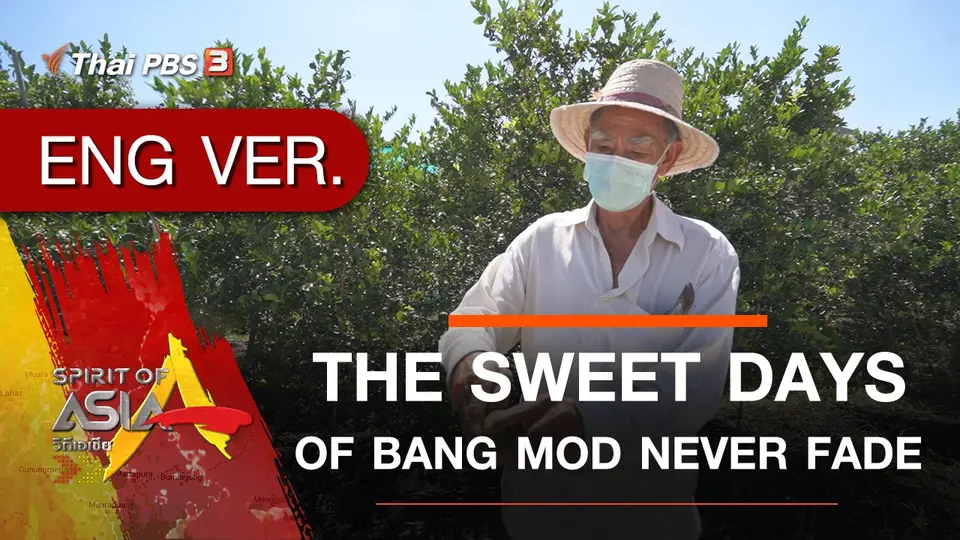 THE SWEET DAYS OF BANG MOD NEVER FADE