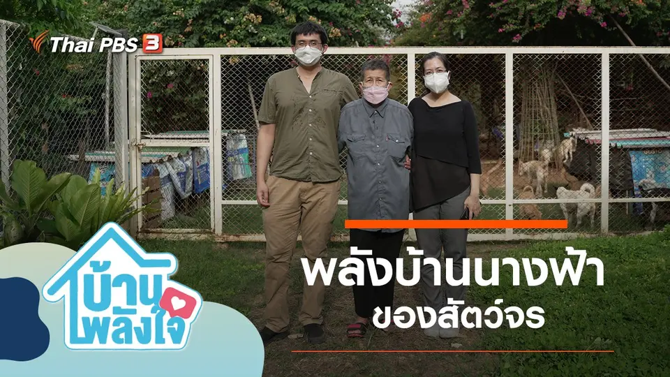 พลังบ้านนางฟ้าของสัตว์จร