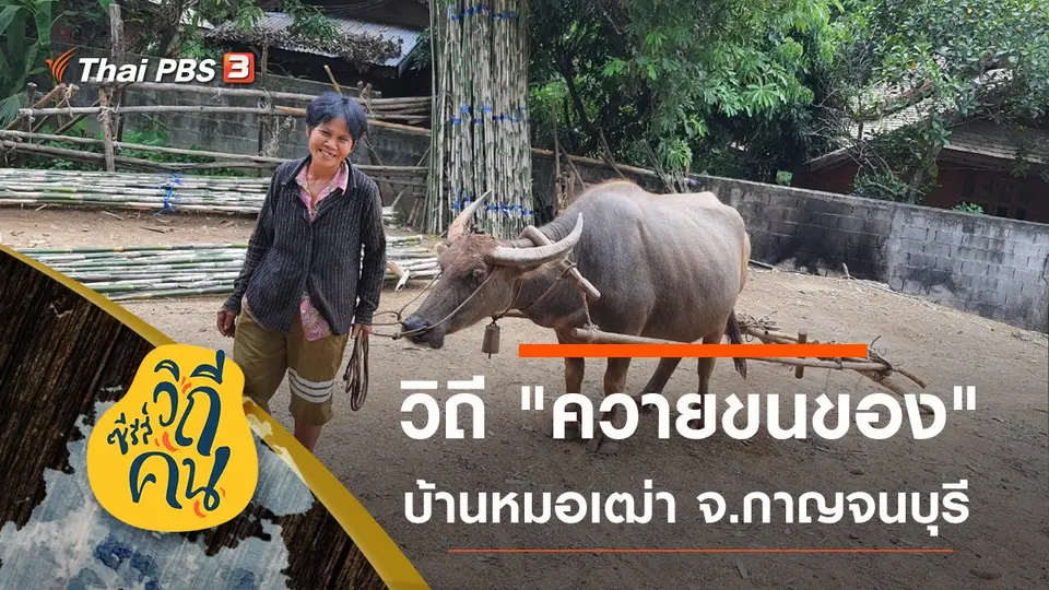 ซีรีส์วิถีคน