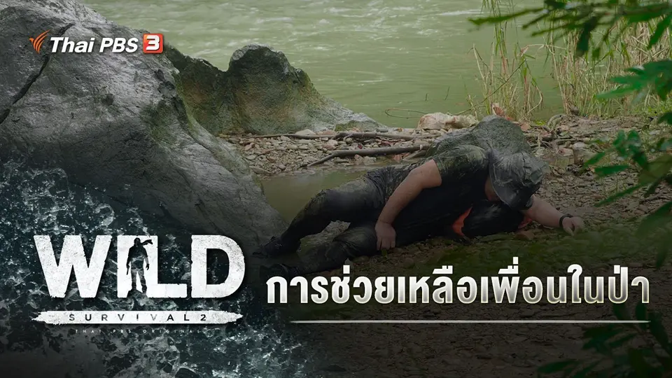 WILD SURVIVAL