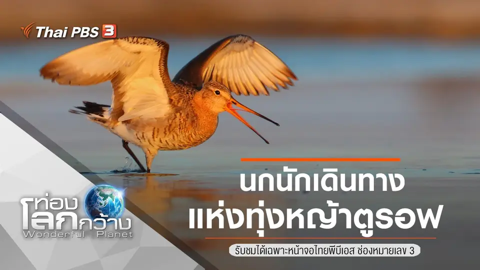 ท่องโลกกว้าง