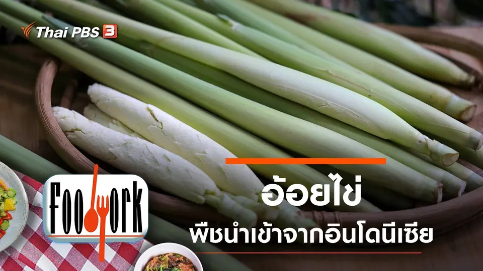 Foodwork