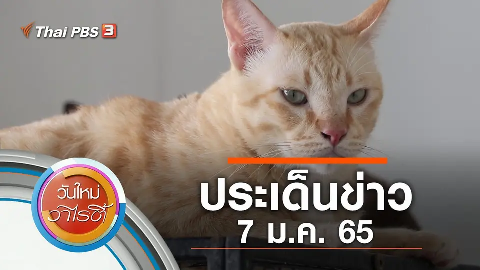 วันใหม่วาไรตี้