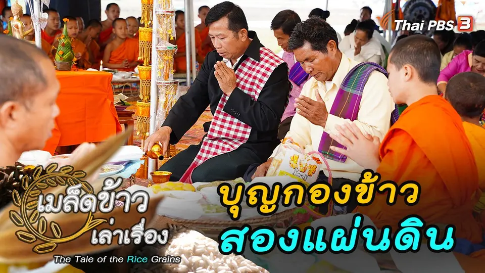 เมล็ดข้าวเล่าเรื่อง The tale of the rice grains