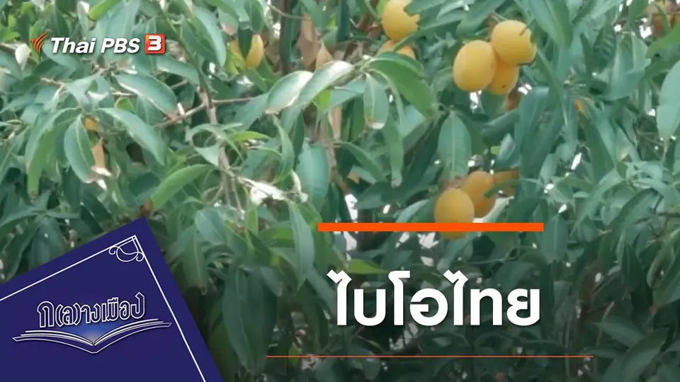 ไบโอไทย