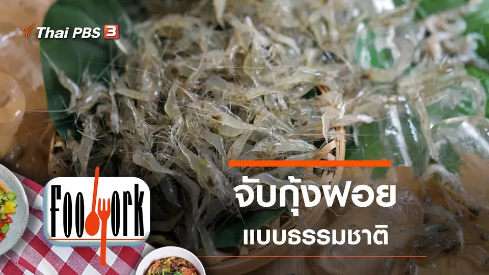 กุ้งฝอย