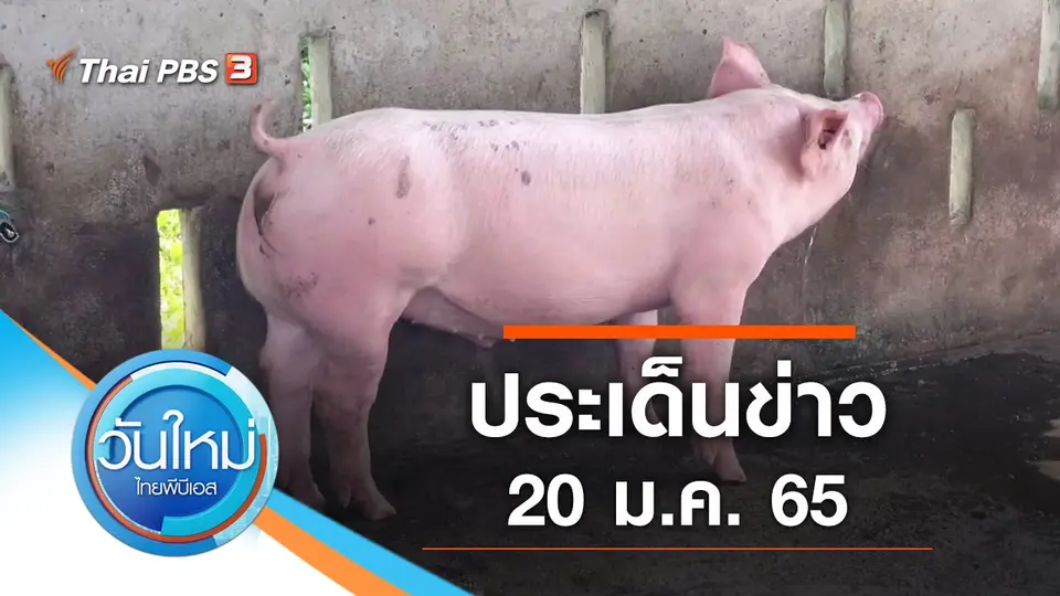 วันใหม่  ไทยพีบีเอส