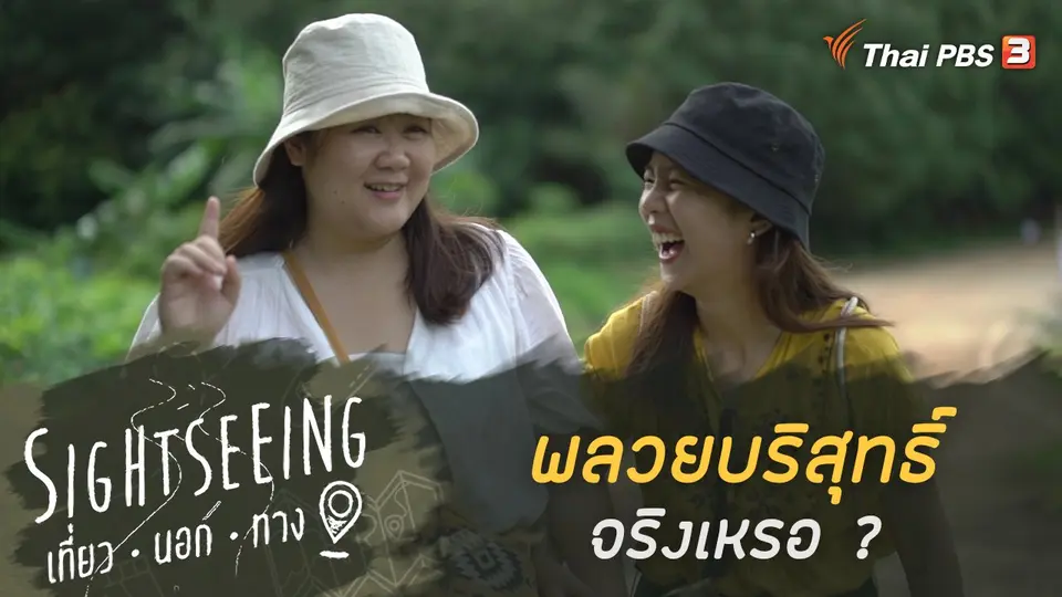 Sightseeing เที่ยวนอกทาง